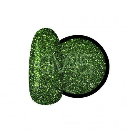 Glitter Nail Ds 13